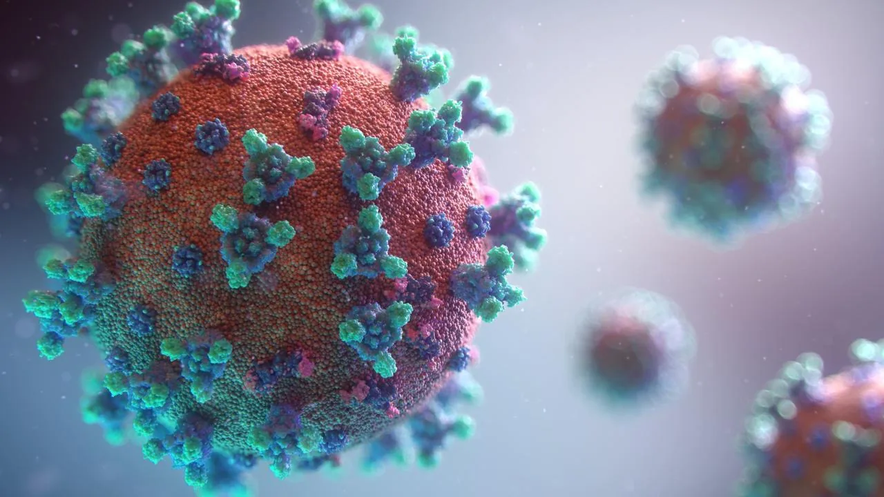 Laboratorio Térbol — caso de éxito Sinergiads